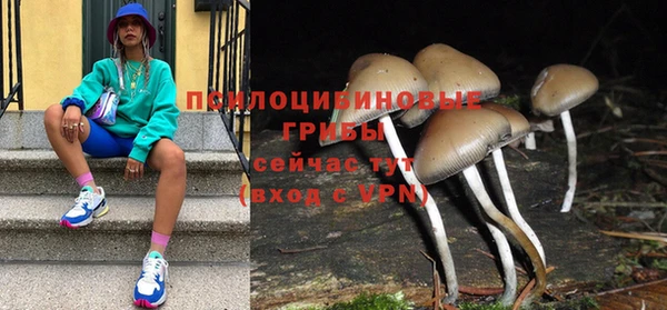 альфа пвп Осинники