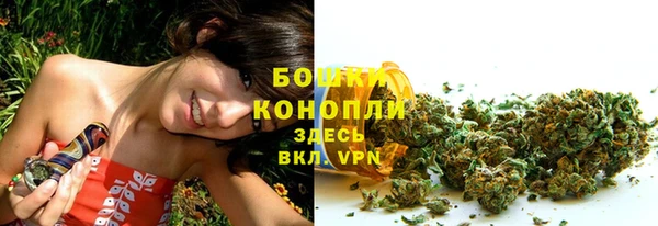 альфа пвп Няндома