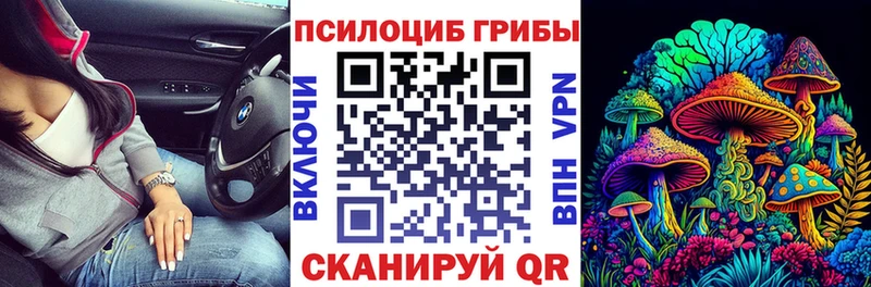 где найти Тавда Галлюциногенные грибы мицелий